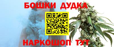 спиды Гатчина