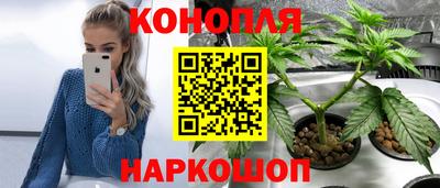 спиды Гатчина
