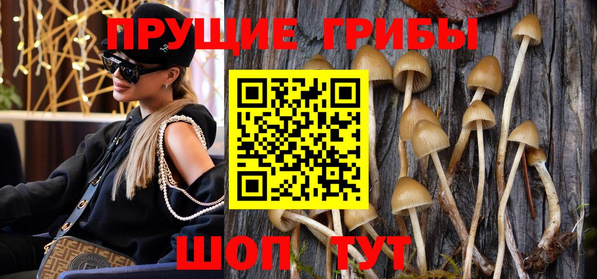 Псилоцибиновые грибы Psilocybine cubensis  магазин продажи   Мурманск  Вход с VPN  Галлюциногенные грибы Psilocybe 